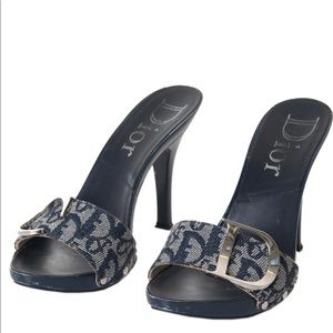 Christian Dior trotter mules with large silved toned CD details.